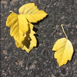 Meet your Posher, Aneta